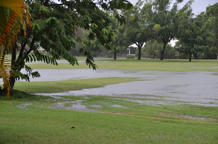 The Seventh Fairway