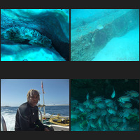 Scuba in Barbados during March