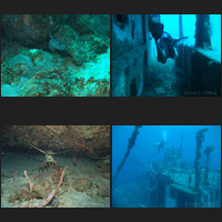 Scuba in Barbados during November