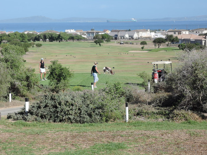 7th Tee, Langebaan