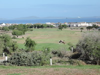 7th Tee, Langebaan