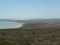 Looking inland from Atlantic Viewpoint