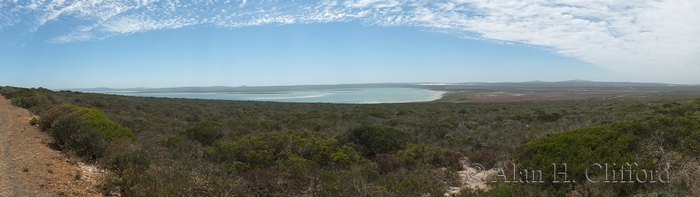 Looking inland from Atlantic Viewpoint