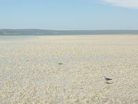 Beach near Kraalbaai