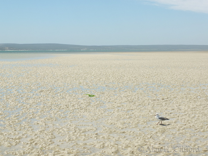 Beach near Kraalbaai