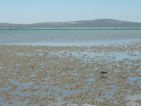 Beach near Kraalbaai