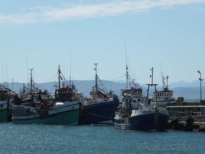 Fishing Boats