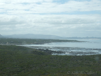 View from Danger Point Lighthouse