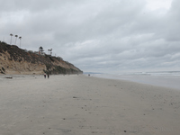 Beach at Encinitas