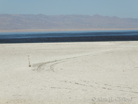 Salton Sea