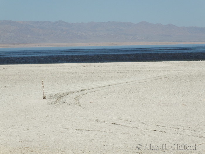 Salton Sea