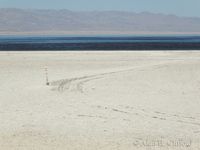 Salton Sea