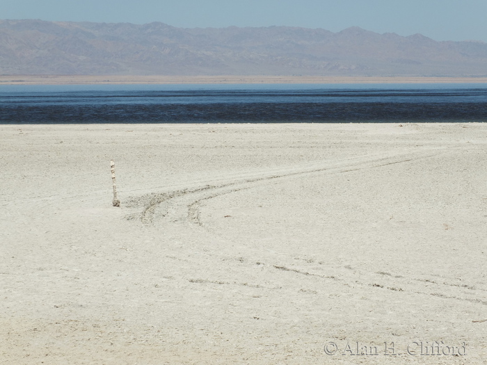 Salton Sea