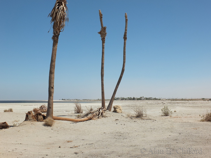 Salton Sea