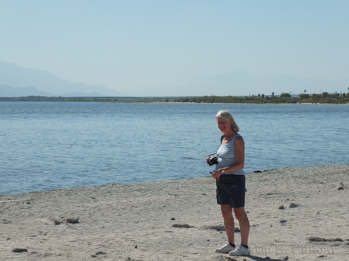 Salton Sea