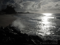 Sea and beach contre-jour