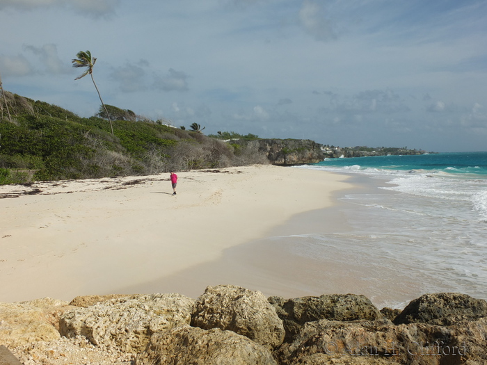 North of Crane Beach