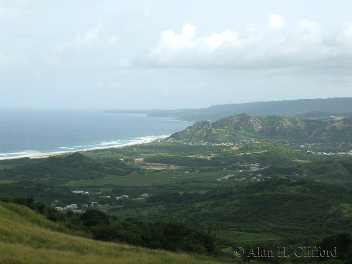 View from Cherry Tree Hill