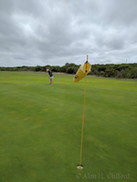 Strong Winds at Gansbaai Golf Club