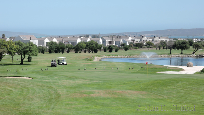 Margaret on the 18th at Langebaan