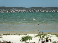 West Coast National Park