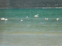 West Coast National Park