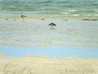 West Coast National Park