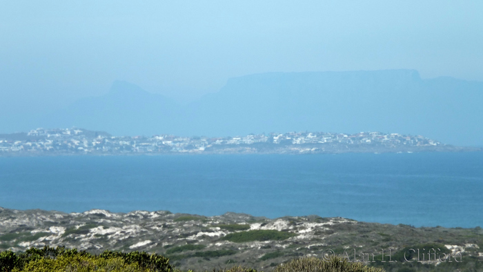 View of Table Mountain from the West Coast National Park