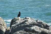 West Coast National Park