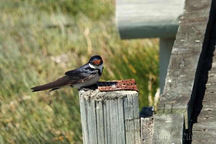 West Coast National Park