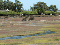 West Coast National Park