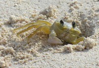 My friend on the beach